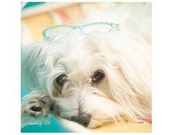 Produits entretien Kelnet MICROFIBRE Rachael Hale 2