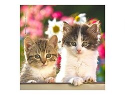 Produits entretien Kelnet MICROFIBRE Bébés Chatons