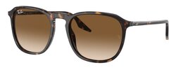 Lunettes de soleil Rayban RB2203 902-51