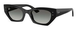 Lunettes de soleil Rayban ZENA RB4430 667711