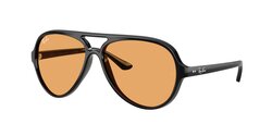 Lunettes de soleil Rayban RB4125-601-33