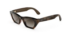 Lunettes de soleil Rayban META ZENA RW4015 690513