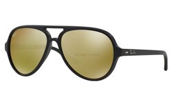 Lunettes de soleil Rayban RB4125-601S93