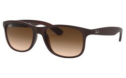 Lunettes de soleil Rayban RB4202