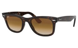 Lunettes de soleil Rayban RB2140 T50