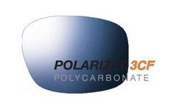 Verres solaires Julbo SPECTRON 3 Polarized Flash Bleu