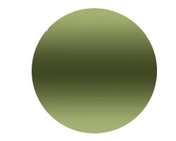 Verres solaires Mauijim MauiBrilliant Maui HT polarisant