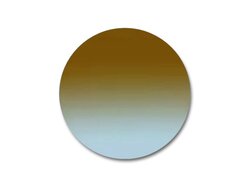 Verres solaires Michael-Kors Organique Marron Dégradé Bleu 5D