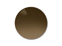 Verres solaires Michael-Kors Organique Brun Dégradé Polarisé 9P
