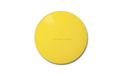 Verres solaires Rayban Crystal yellow 