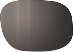 Verres de remplacement Julbo Spectron 3 Polarized Brun