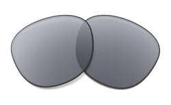 Verres de remplacement Oakley Prizm Grey